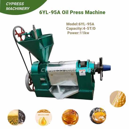 6YL